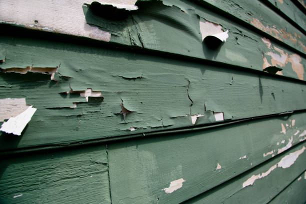 Affordable siding repair and maintenance services in Waverly, VA